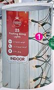 Santa's Trading 25 Fairy Indoor Lights