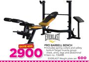 Everlast Weight Plate Set