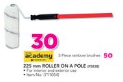 Academy 225mm Roller On A Pole