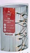 Indoor Flashing 25 Fairy Lights White-Each
