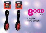 OL'Roy Dog Brush-Each