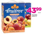 Fruitree Juice-5Ltr Each