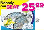 Lake Harvest Whole Round Fresh-Per Kg