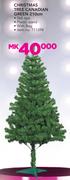 Santa's Trading Christmas Tree Canadian Green 210cm