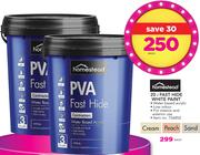 Homestead 20 Ltr Fast Hide Paint-Each 