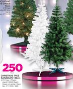 Christmas Tree Canadian 180Cm-Each