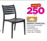 Gold Sun Sienna Charcoal-Each