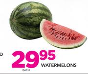 Water Melons-Each