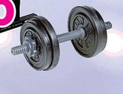 Everlast Dumbell Set-10kg