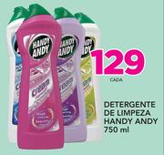 Detergente de Limpeza handy Andy-750ml cada