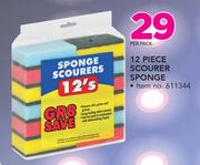 12 Piece Scourer Sponge-Per Pack