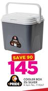 Cooler 25Ltr Box Silver