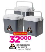 Pride 25Ltr Cooler Box Silver-Each
