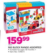 Kid Connection Big Block Range Assorted-Each