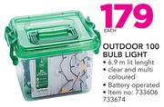 Outdoor 100 Bulb Light-Each