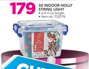 Indoor 50 Holly String Light