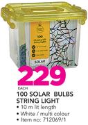 100 Silar Bulbs String Light-Each