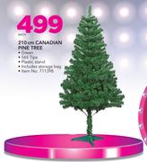 210cm Canadian Pine Tree-Each