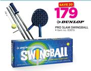 Dunlop Pro Slam Swingball