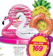 Giant Inflatables (Donut/Donut Tube/Flamingo/Swan/Pineapple)-Each
