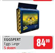 Eggspert Eggs Large-5 Dozen