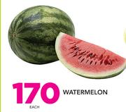 Watermelon-Each