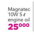 Castrol Magnatec 10W Engine Oil-5Ltr