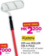 Academy 225mm Roller On A Pole-Each