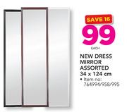 New Dress Mirror Assorted 34 x 124cm-Each