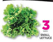 Small Lettuce-Each