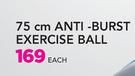 Everlast 75cm Anti-Burst Exercise Ball