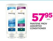 Pantene Prov Assorted Conditioner-Each