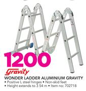 Gravity Wonder Ladder Aluminium 