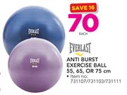 Everlast Anti Burst Exercise Ball 55/65 Or 75cm-Each