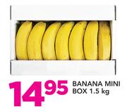 Banana Mini Box-1.5kg