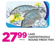 Lake Harvestwhole Round Fresh Fish-Per Kg