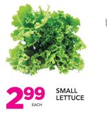 Small Lettuce-Each