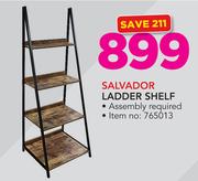 Salvador Ladder Shelf