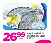 Lake Harvest Whole Round Fresh-Per Kg