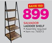 Salvador Ladder Shelf