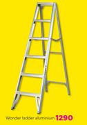 Wonder Ladder Aluminium