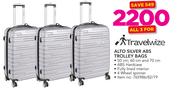 Travelwize Alto Silver ABS Trolley Bags