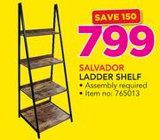 Salvador Ladder Shelf