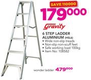 Gravity Wonder Ladder