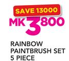 Rainbow Paintbrush Set 5 Piece