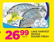 Lake Harvest Whole Round Fresh-Per Kg