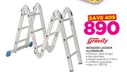 Gravity Wonder Ladder Aluminium