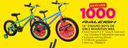 Raleigh 16" Enduro Boys Or Girls Mountain Bike Includes Training Wheels