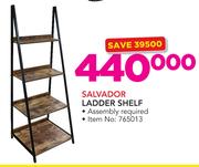 Salvador Ladder Shelf