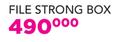 File Strong Box